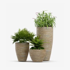 Nearly Natural Mixed Ficusand