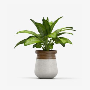 Lakhes Basics Artificial Monstera Plant